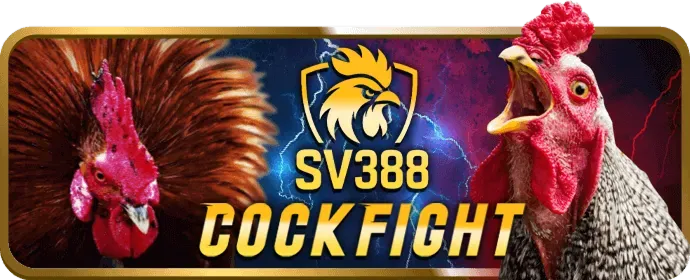 Chọn môn thể thao và đặt cược